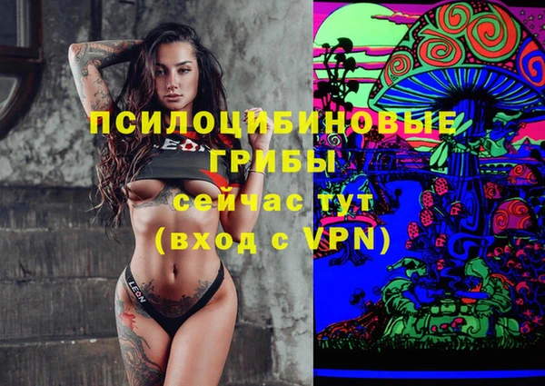 мдпв Абаза