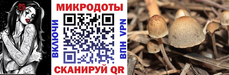 цены наркотик  Ак-Довурак  гидра зеркало  Псилоцибиновые грибы прущие грибы 